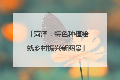 菏泽：特色种植绘就乡村振兴新图景