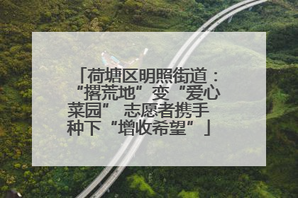 荷塘区明照街道：“撂荒地”变“爱心菜园” 志愿者携手种下“增收希望”