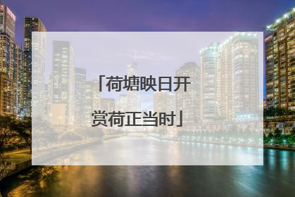 荷塘映日开 赏荷正当时