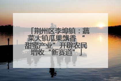 荆州区李埠镇：蔬菜大镇瓜果飘香 “甜蜜产业”开辟农民增收“新赛道”