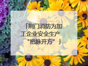 荆门消防为加工企业安全生产“把脉开方”