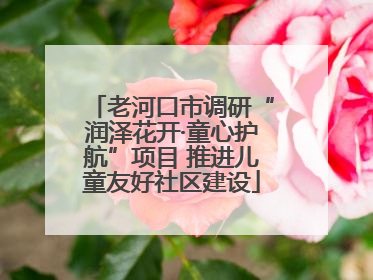 老河口市调研“润泽花开·童心护航”项目 推进儿童友好社区建设