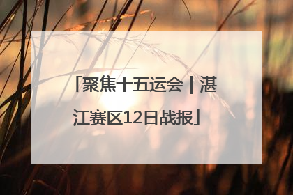 聚焦十五运会｜湛江赛区12日战报