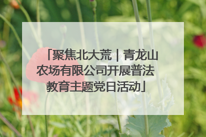 聚焦北大荒｜青龙山农场有限公司开展普法教育主题党日活动