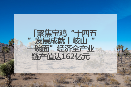 聚焦宝鸡“十四五”发展成就丨岐山“一碗面”经济全产业链产值达162亿元 入选全国典型县