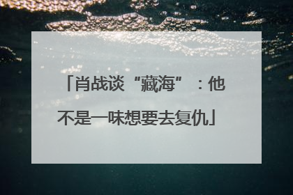 肖战谈“藏海”：他不是一味想要去复仇