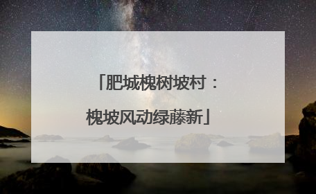 肥城槐树坡村：槐坡风动绿藤新