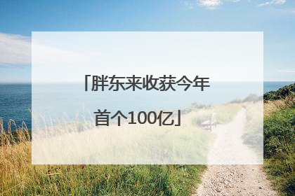 胖东来收获今年首个100亿