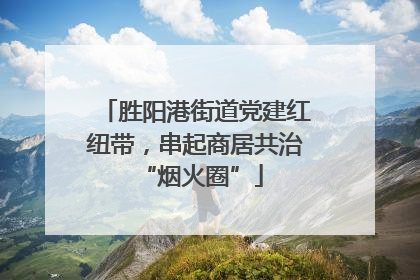 胜阳港街道党建红纽带，串起商居共治 “烟火圈”