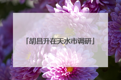 胡昌升在天水市调研