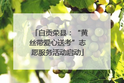 自贡荣县：“黄丝带爱心送考”志愿服务活动启动