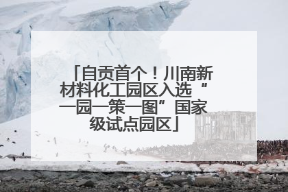 自贡首个！川南新材料化工园区入选“一园一策一图”国家级试点园区