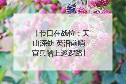 节日在战位：天山深处 英沿前哨官兵踏上巡逻路