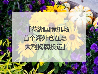 花湖国际机场首个海外仓在意大利揭牌投运