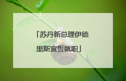 苏丹新总理伊德里斯宣誓就职