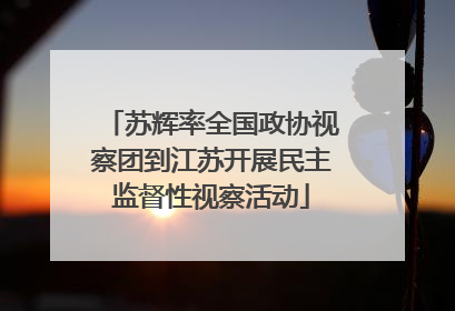 苏辉率全国政协视察团到江苏开展民主监督性视察活动