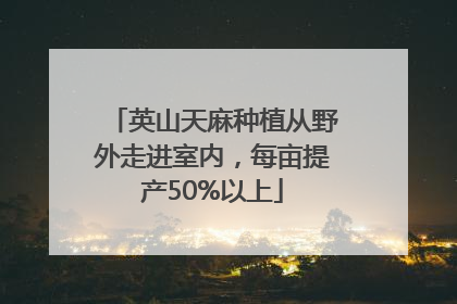 英山天麻种植从野外走进室内，每亩提产50%以上