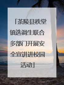 茶陵县秩堂镇选调生联合多部门开展安全宣讲进校园活动