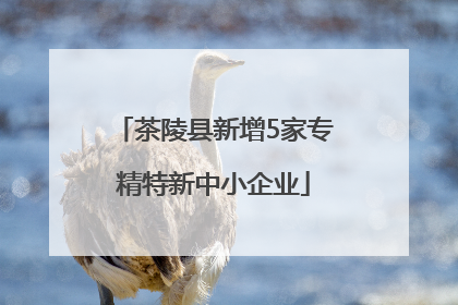 茶陵县新增5家专精特新中小企业