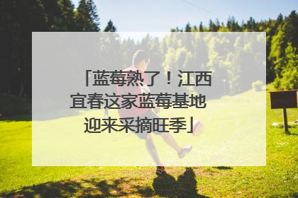 蓝莓熟了！江西宜春这家蓝莓基地迎来采摘旺季