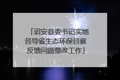 诏安县委书记实地督导省生态环保督察反馈问题整改工作