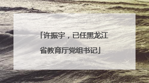 许振宇，已任黑龙江省教育厅党组书记