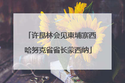 许昆林会见柬埔寨西哈努克省省长蒙西纳