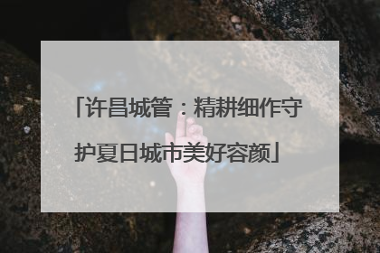 许昌城管：精耕细作守护夏日城市美好容颜