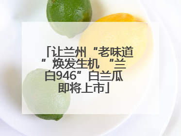 让兰州“老味道”焕发生机 “兰白946”白兰瓜即将上市