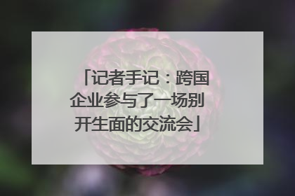 记者手记：跨国企业参与了一场别开生面的交流会