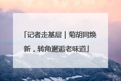 记者走基层｜菊胡同焕新，转角邂逅老味道