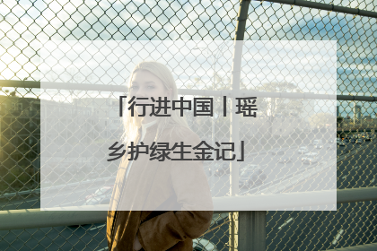 行进中国丨瑶乡护绿生金记