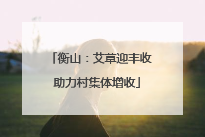 衡山：艾草迎丰收 助力村集体增收
