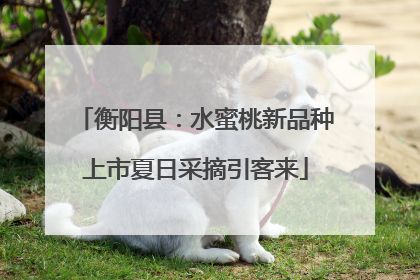 衡阳县：水蜜桃新品种上市夏日采摘引客来