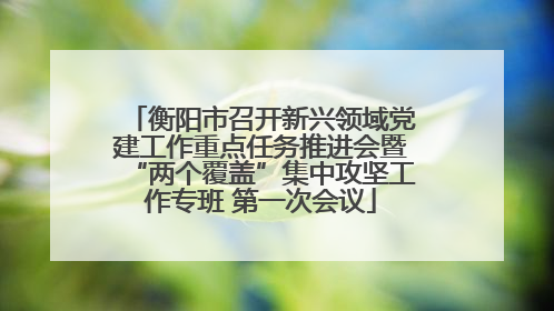 衡阳市召开新兴领域党建工作重点任务推进会暨“两个覆盖”集中攻坚工作专班 第一次会议