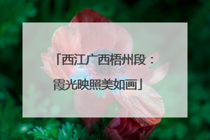 西江广西梧州段：霞光映照美如画