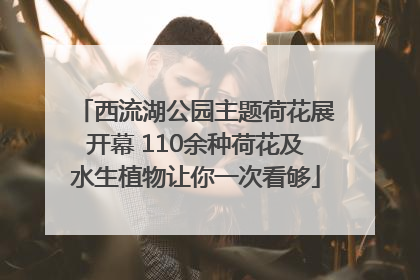 西流湖公园主题荷花展开幕 110余种荷花及水生植物让你一次看够