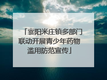 襄阳米庄镇多部门联动开展青少年药物滥用防范宣传