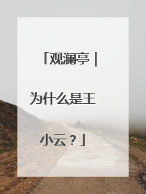 观澜亭｜为什么是王小云？