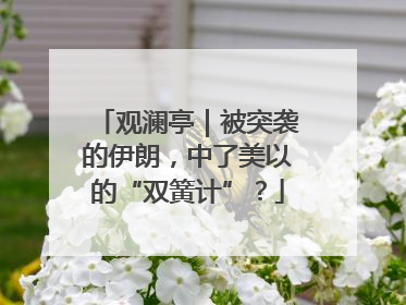 观澜亭｜被突袭的伊朗，中了美以的“双簧计”？