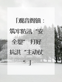 观音阁镇：筑牢防汛“安全堤” 打好抗洪“主动仗”
