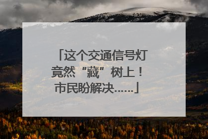 这个交通信号灯竟然“藏”树上！市民盼解决……