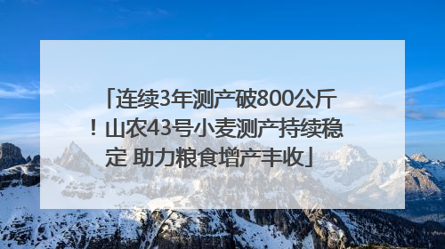 连续3年测产破800公斤！山农43号小麦测产持续稳定 助力粮食增产丰收