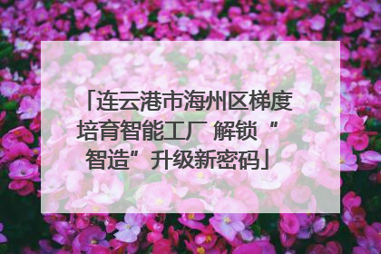 连云港市海州区梯度培育智能工厂 解锁“智造”升级新密码