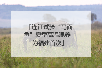 连江试验“马面鱼”夏季高温混养 为福建首次