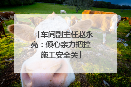 车间副主任赵永亮：倾心亲力把控施工安全关