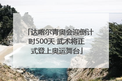 达喀尔青奥会迎倒计时500天 武术将正式登上奥运舞台