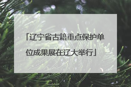 辽宁省古籍重点保护单位成果展在辽大举行