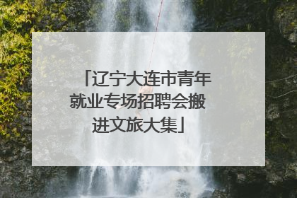 辽宁大连市青年就业专场招聘会搬进文旅大集