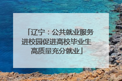 辽宁：公共就业服务进校园促进高校毕业生高质量充分就业